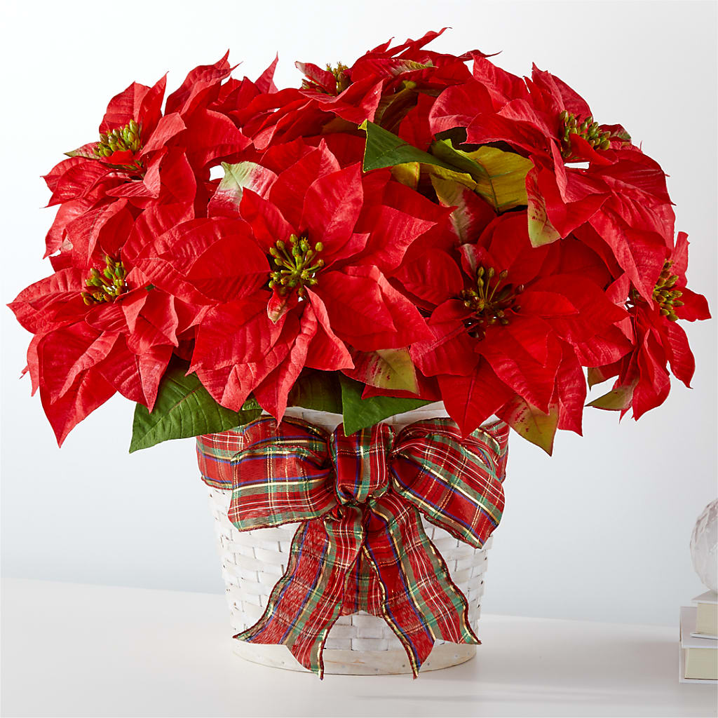 Happiest Holidays Poinsettia – Special Occasion By Ora, Independence LA
