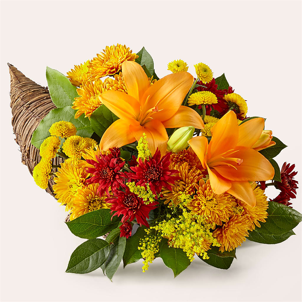 Feast of Color Cornucopia – Special Occasion By Ora, Independence LA