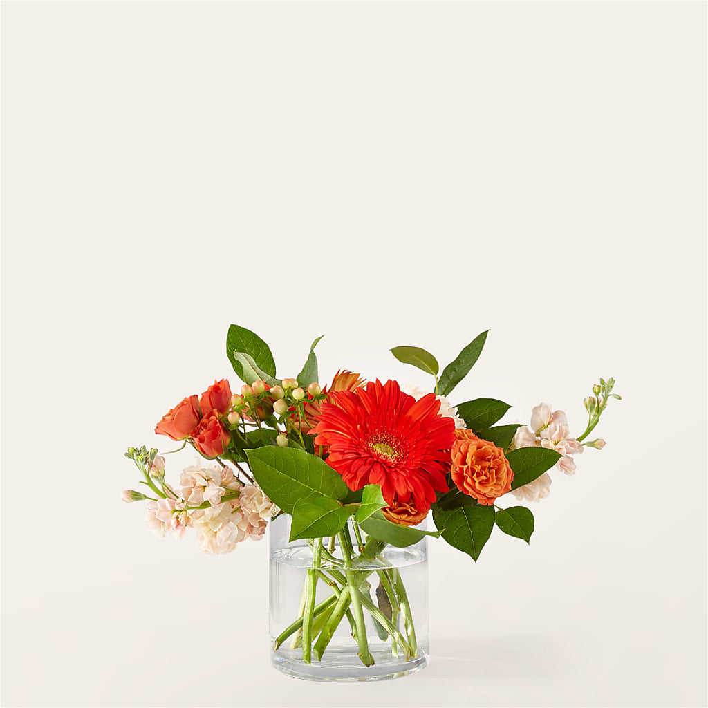 Paloma Please Bouquet – Special Occasion By Ora, Independence LA