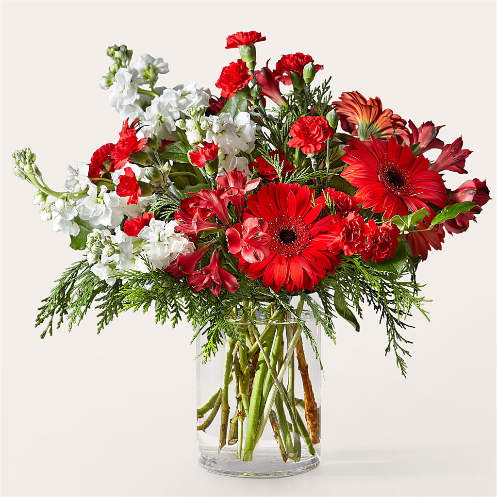 Holidaisy Bouquet – Special Occasion By Ora, Independence LA