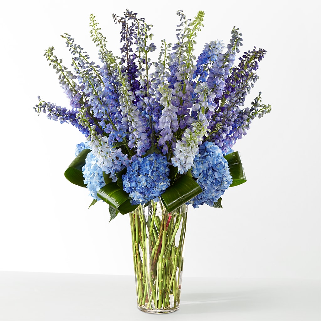 The Editorial – Special Occasion By Ora, Independence LA