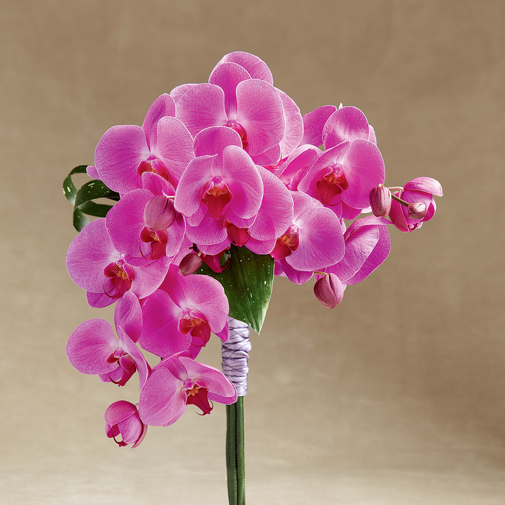 Glorious Bouquet – Special Occasion By Ora, Independence LA