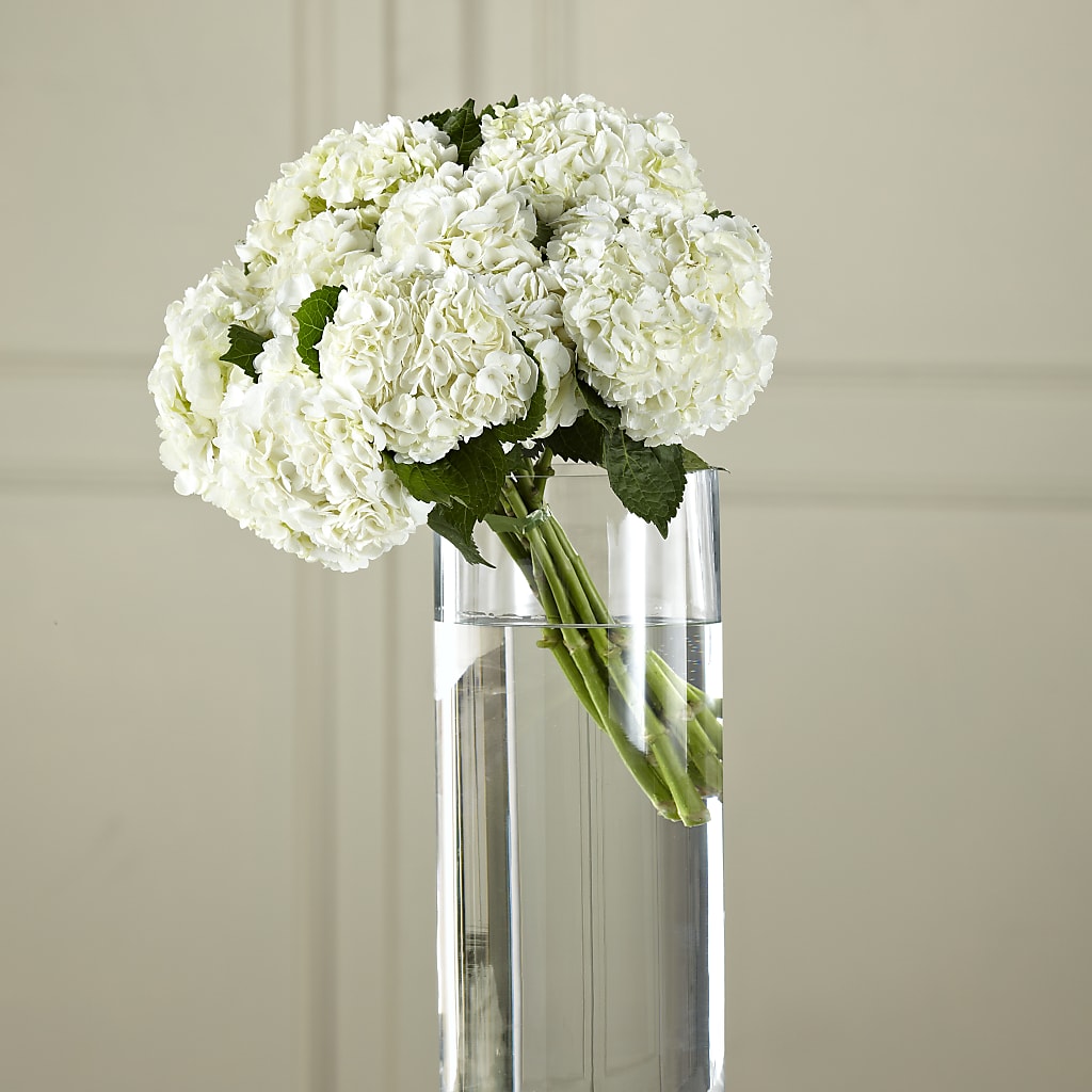 White Hydrangea Hand-Tied Bouquet – Special Occasion By Ora, Independence LA
