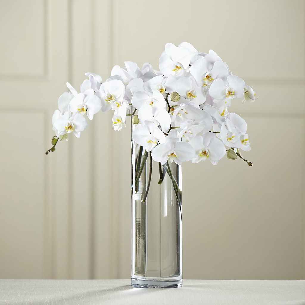 White Phalaenopsis Bouquet – Special Occasion By Ora, Independence LA