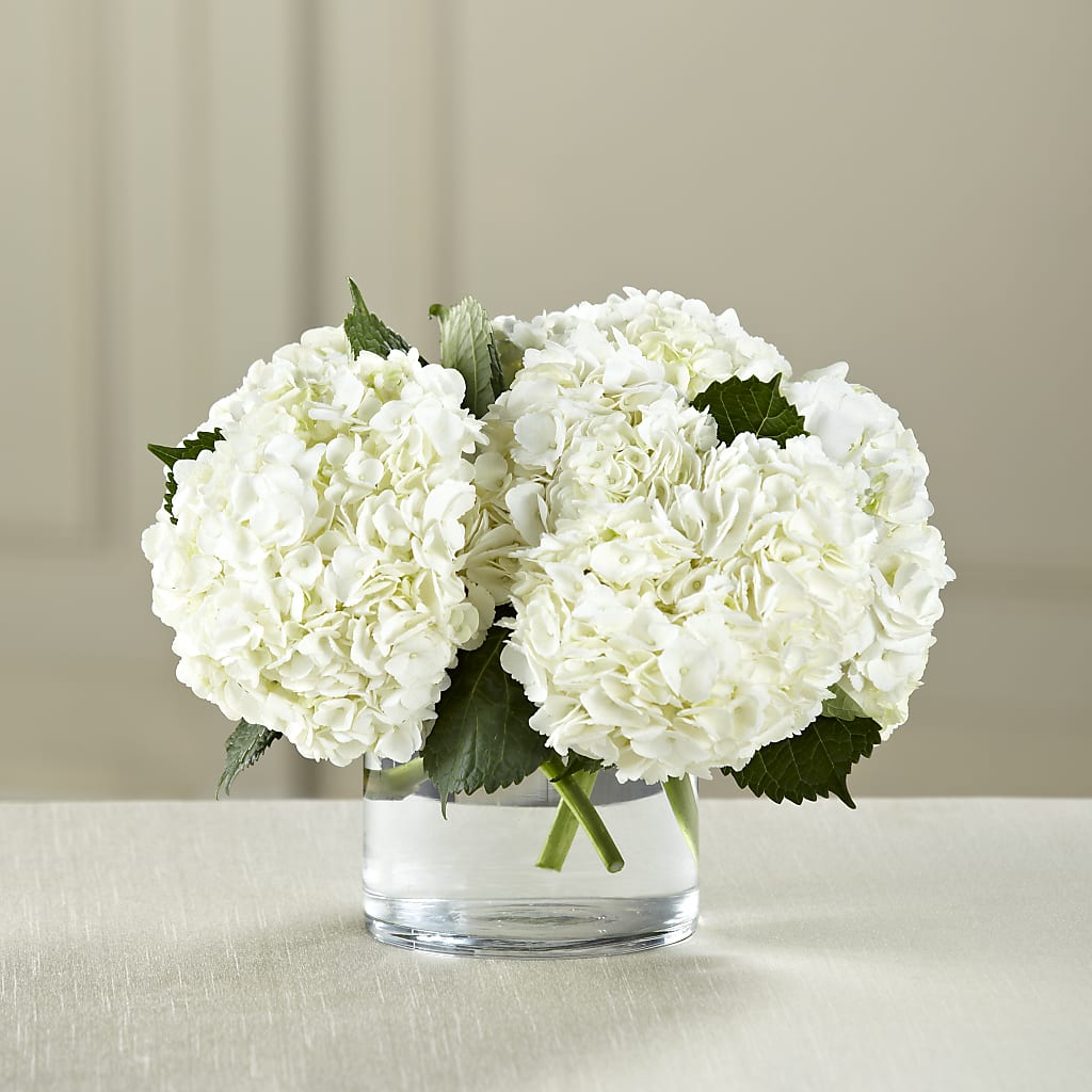 White Hydrangea Bouquet – Special Occasion By Ora, Independence LA