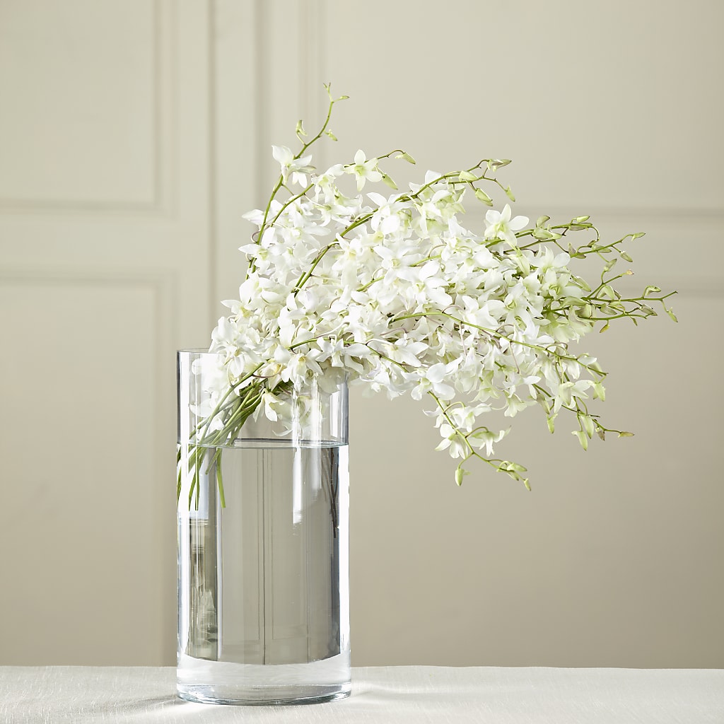 White Dendrobium Bouquet – Special Occasion By Ora, Independence LA