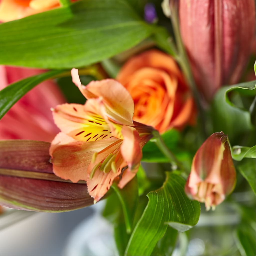 Bold & Bright – A Florist Original –  Special Occasion By Ora, Independence LA