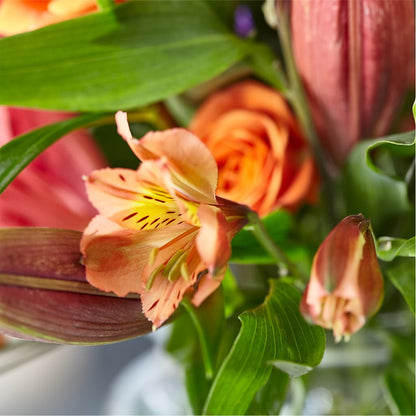 Bold & Bright – A Florist Original –  Special Occasion By Ora, Independence LA
