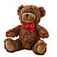Adorable Plush Bear –  Special Occasion By Ora, Independence LA
