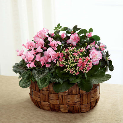 Pink Assortment –  Special Occasion By Ora, Independence LA