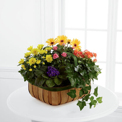 Gentle Blossoms Basket –  Special Occasion By Ora, Independence LA