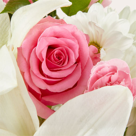 Whispers of Comfort Bouquet –  Special Occasion By Ora, Independence LA
