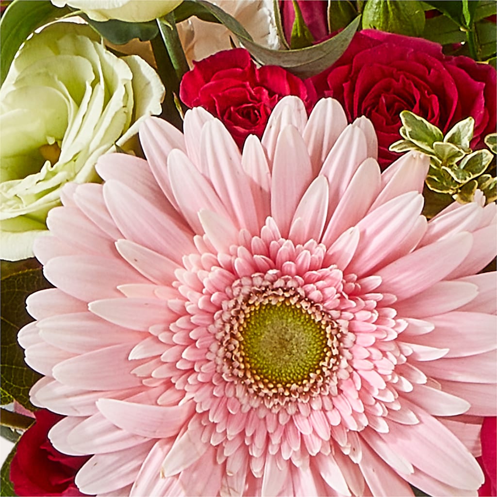 Too Cute Bouquet –  Special Occasion By Ora, Independence LA