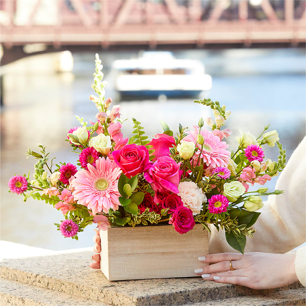 Too Cute Bouquet –  Special Occasion By Ora, Independence LA
