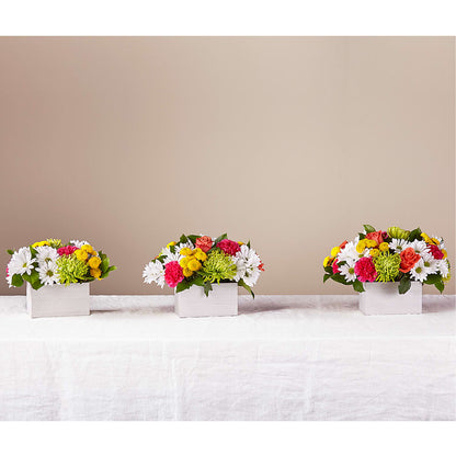 Sorbet Bouquet –  Special Occasion By Ora, Independence LA