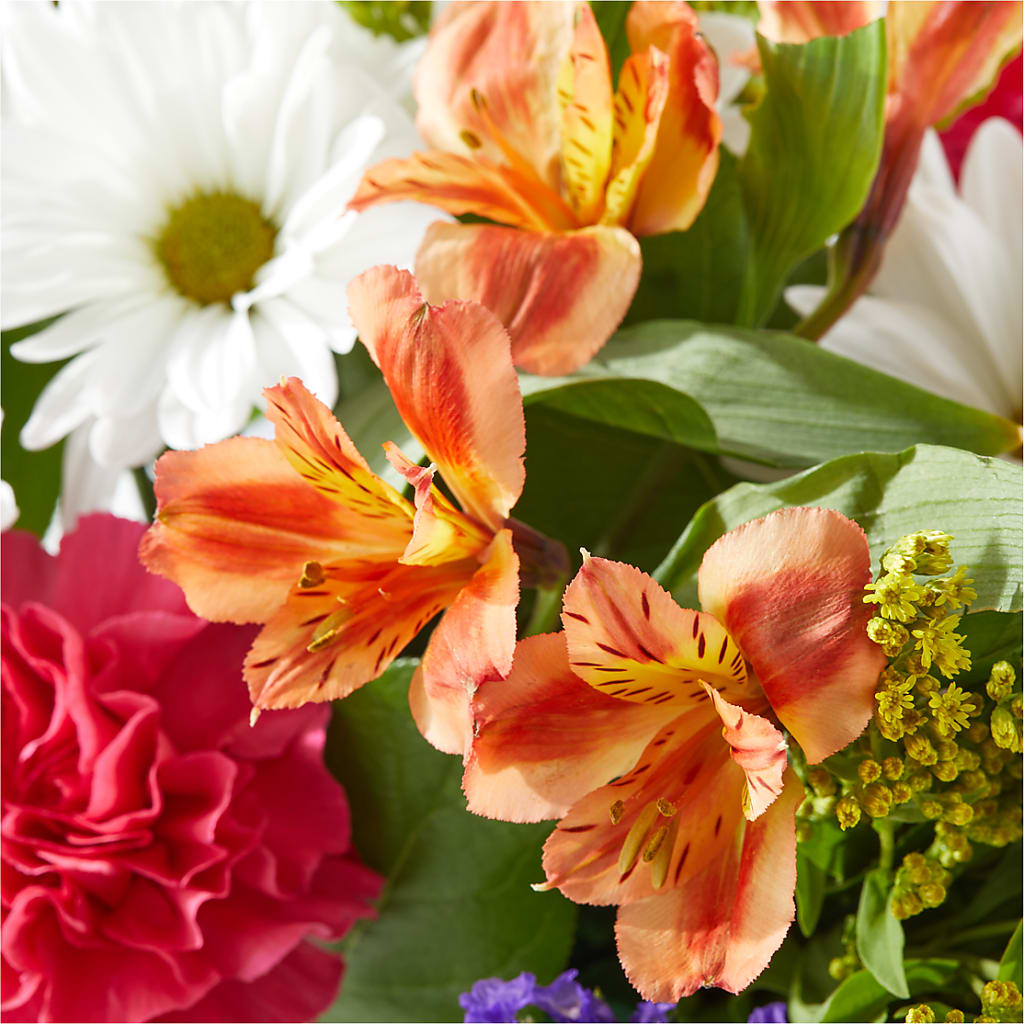 Oopsie Daisy Box Bouquet –  Special Occasion By Ora, Independence LA