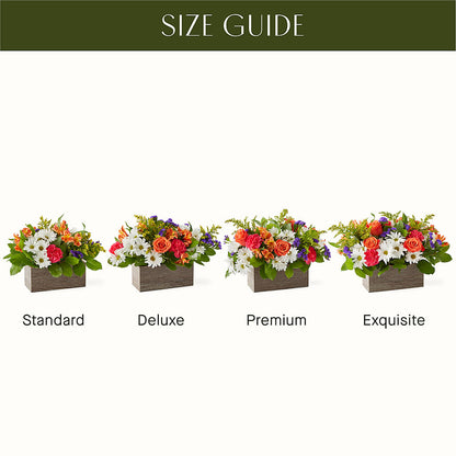 Oopsie Daisy Box Bouquet –  Special Occasion By Ora, Independence LA