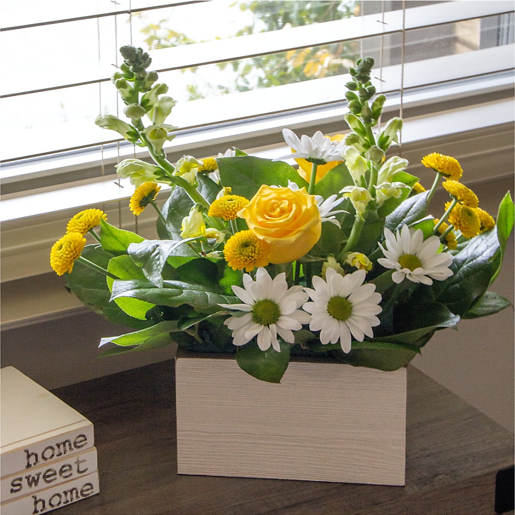 Sun Salutation Box Bouquet –  Special Occasion By Ora, Independence LA