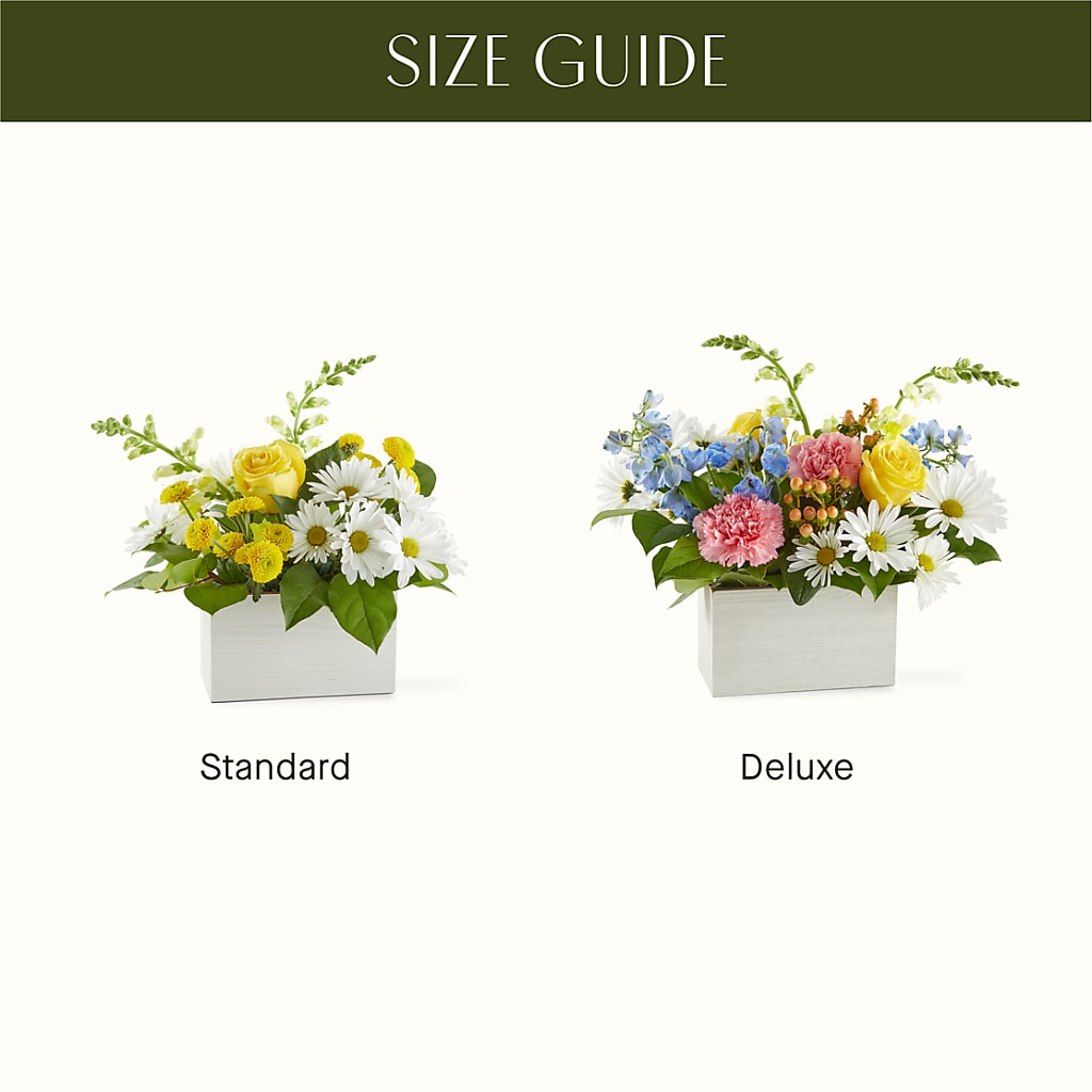 Sun Salutation Box Bouquet –  Special Occasion By Ora, Independence LA