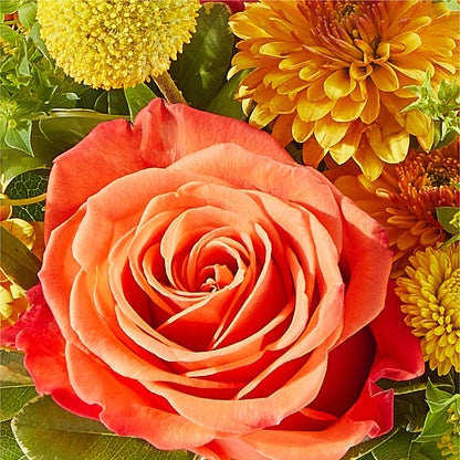 Gourdgeous Pumpkin –  Special Occasion By Ora, Independence LA