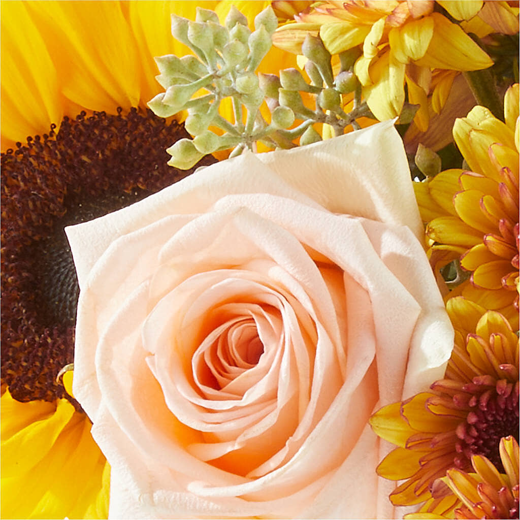 Pumpkin to Talk About Bouquet –  Special Occasion By Ora, Independence LA