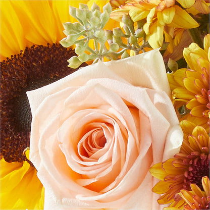 Pumpkin to Talk About Bouquet –  Special Occasion By Ora, Independence LA