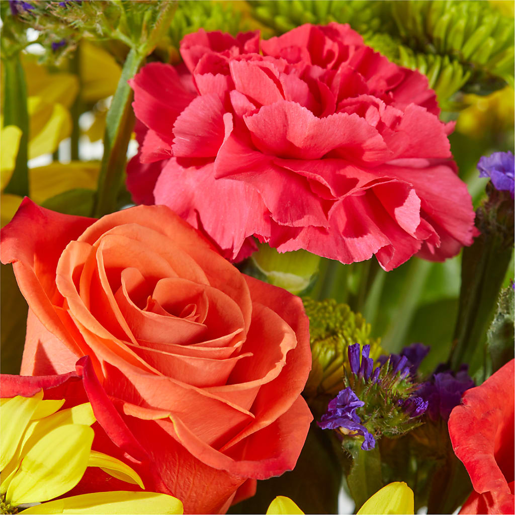 Brighter Days Bouquet –  Special Occasion By Ora, Independence LA