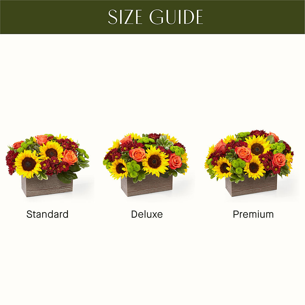 Happy Harvest Garden –  Special Occasion By Ora, Independence LA