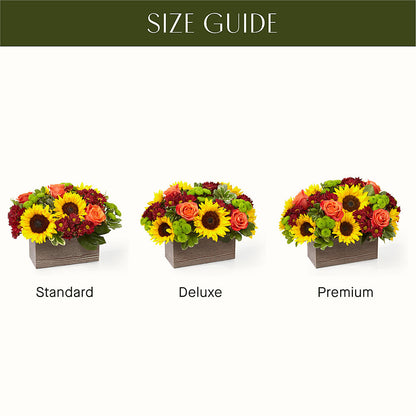 Happy Harvest Garden –  Special Occasion By Ora, Independence LA