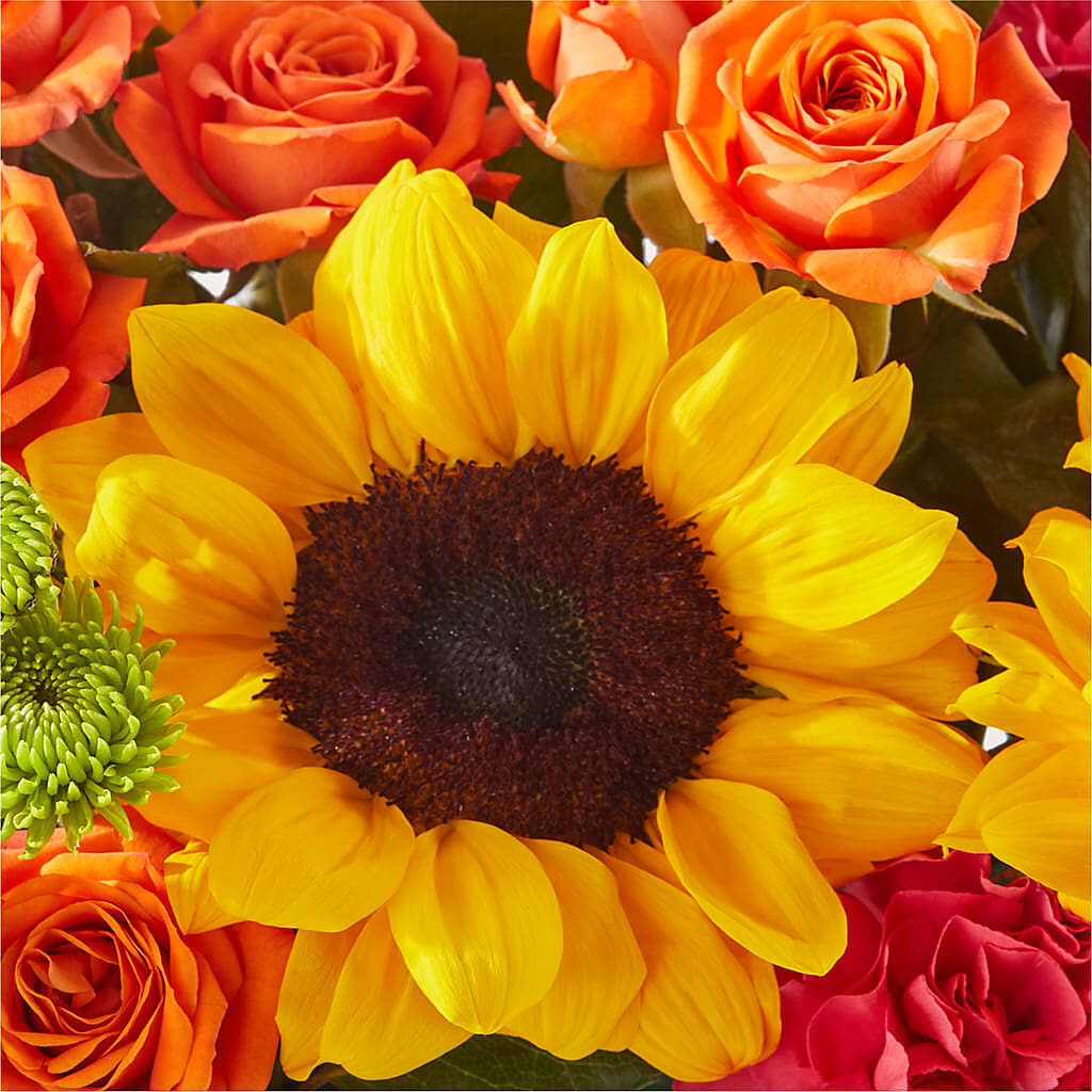 Sun-drenched Blooms Box Bouquet –  Special Occasion By Ora, Independence LA
