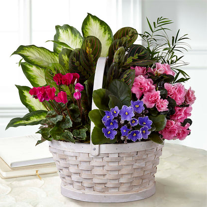 Peaceful Garden Planter –  Special Occasion By Ora, Independence LA