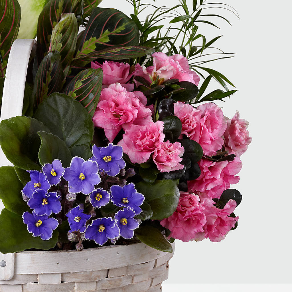 Peaceful Garden Planter –  Special Occasion By Ora, Independence LA