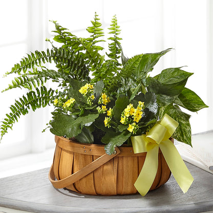Always Dear Dishgarden –  Special Occasion By Ora, Independence LA