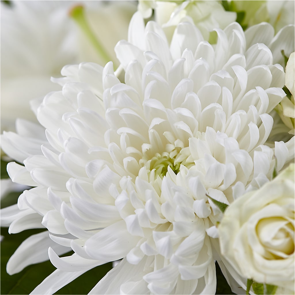 Classic Ivory – A Florist Original –  Special Occasion By Ora, Independence LA