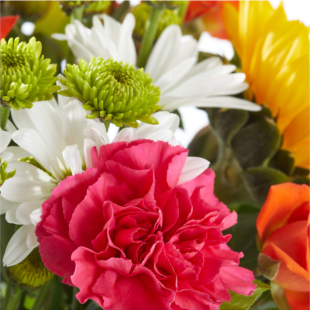 Sun-drenched Blooms Bouquet –  Special Occasion By Ora, Independence LA