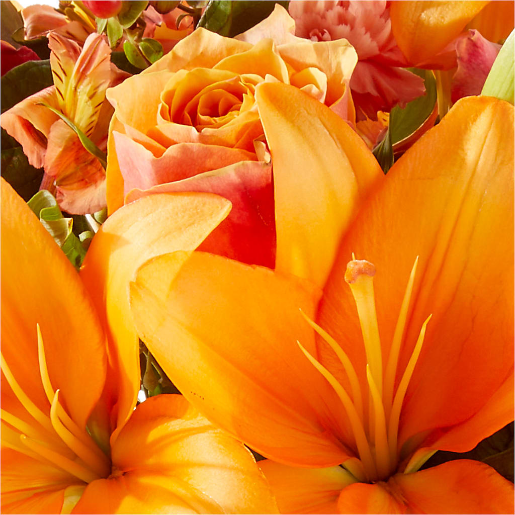 Afternoon Light Bouquet –  Special Occasion By Ora, Independence LA