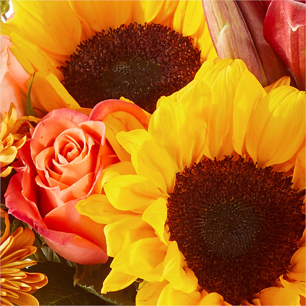 Acorn Lane Bouquet –  Special Occasion By Ora, Independence LA