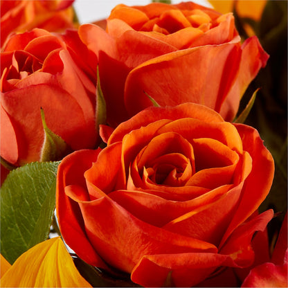 Picnic in the Park Bouquet –  Special Occasion By Ora, Independence LA