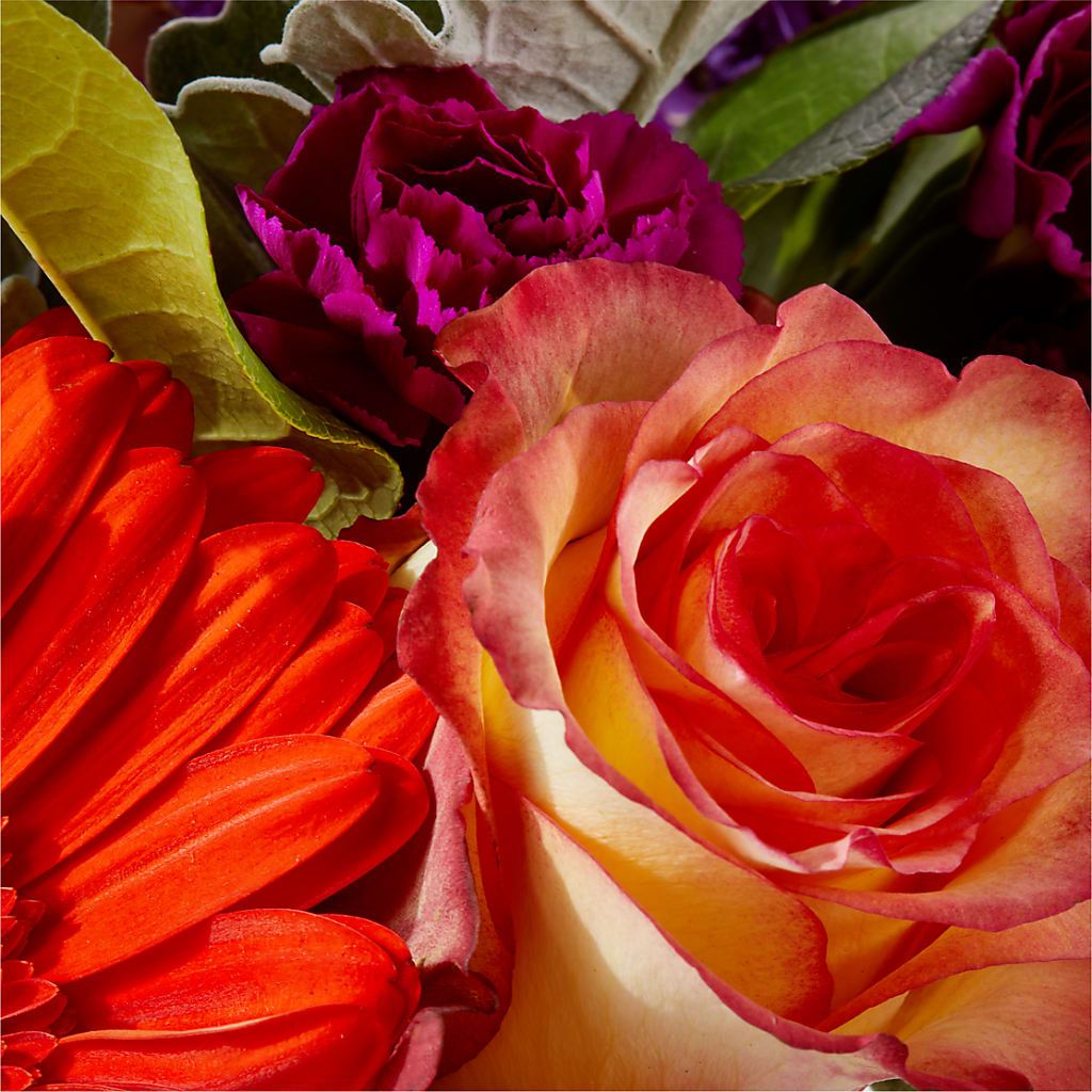 Sangria Bouquet –  Special Occasion By Ora, Independence LA