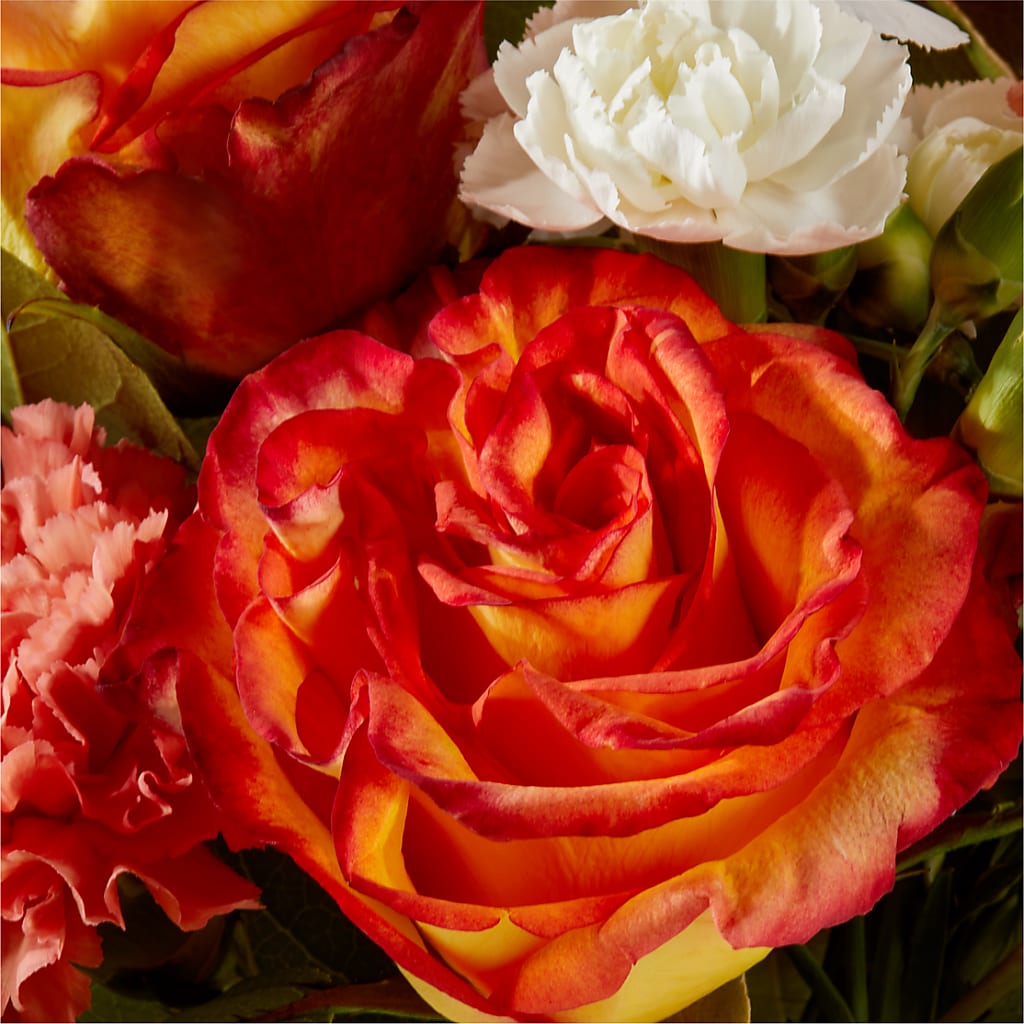 Apricot Glow Bouquet –  Special Occasion By Ora, Independence LA