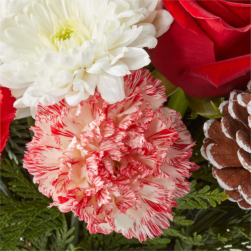 Candy Cane Lane Bouquet –  Special Occasion By Ora, Independence LA