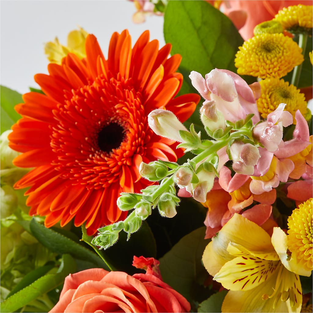 Autumn Sunshine Bouquet –  Special Occasion By Ora, Independence LA