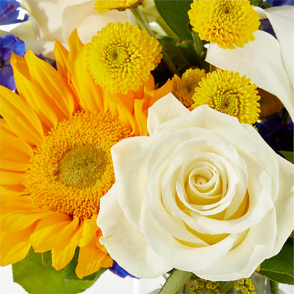 Stargazing Bouquet –  Special Occasion By Ora, Independence LA