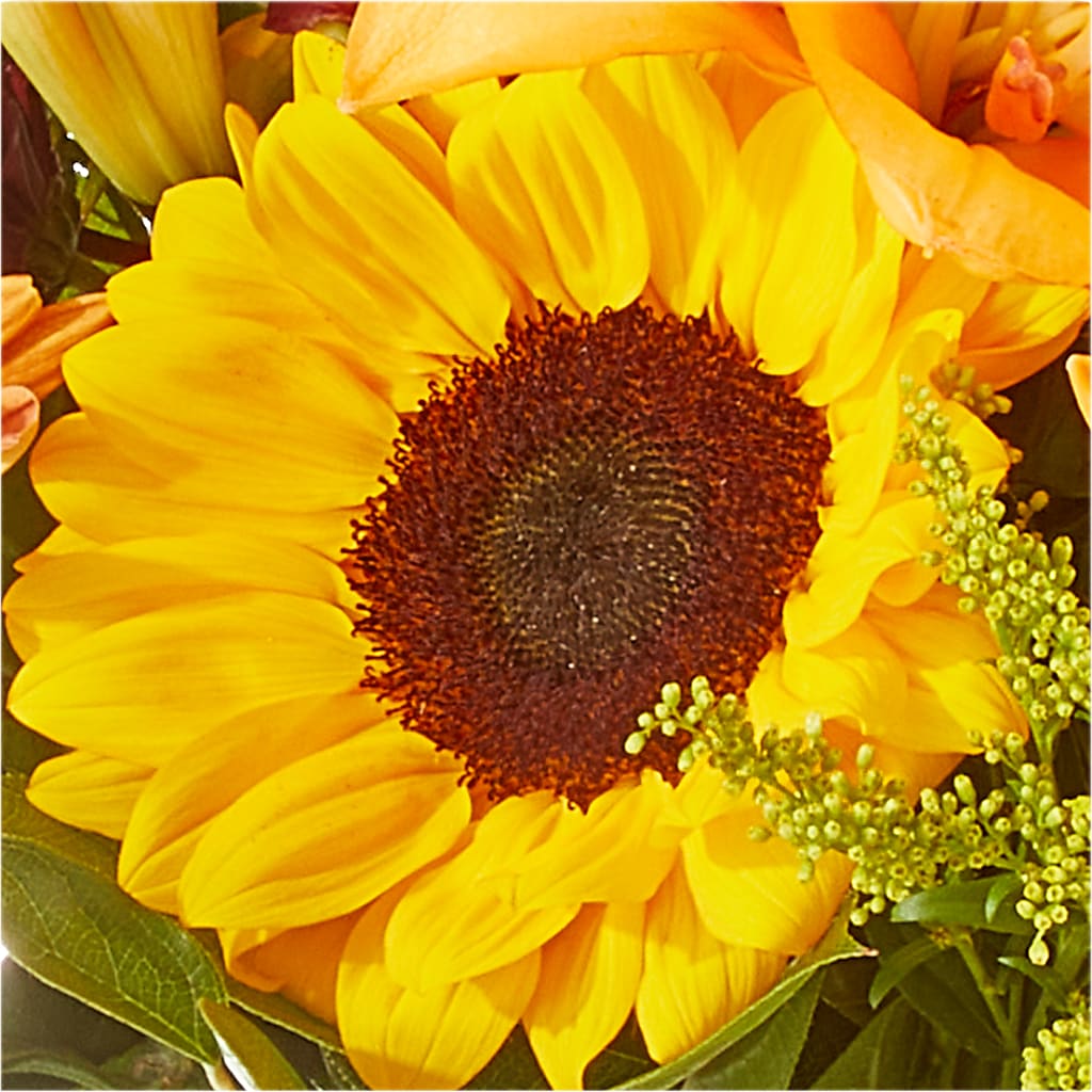 Seasons Change Bouquet –  Special Occasion By Ora, Independence LA
