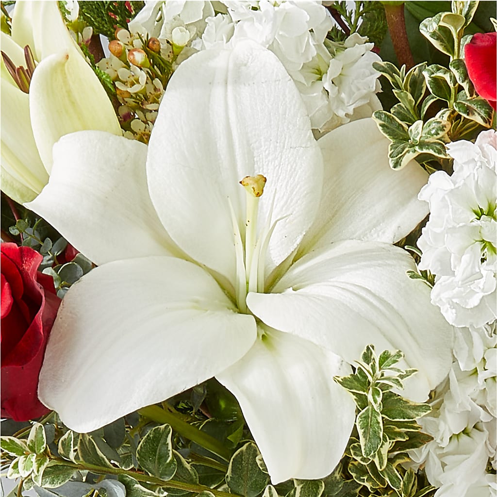 Twinkle Lights Bouquet –  Special Occasion By Ora, Independence LA