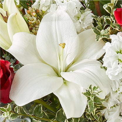 Twinkle Lights Bouquet –  Special Occasion By Ora, Independence LA
