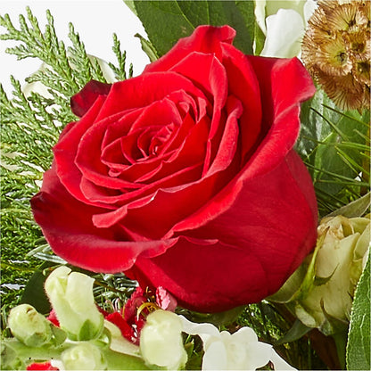 Deck the Halls Bouquet –  Special Occasion By Ora, Independence LA