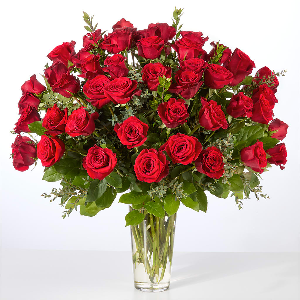 Forever Yours Fifty Stem Red Rose Bouquet –  Special Occasion By Ora, Independence LA