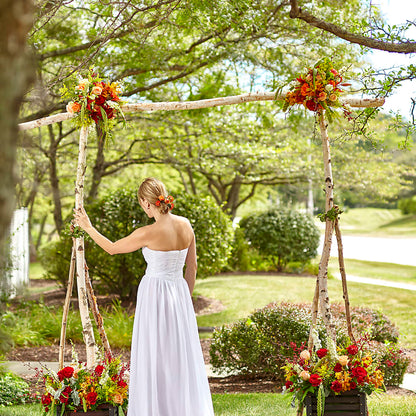 Arbor of Love Archway –  Special Occasion By Ora, Independence LA