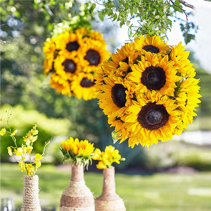 Sublime Garden Hanging Arrangement –  Special Occasion By Ora, Independence LA